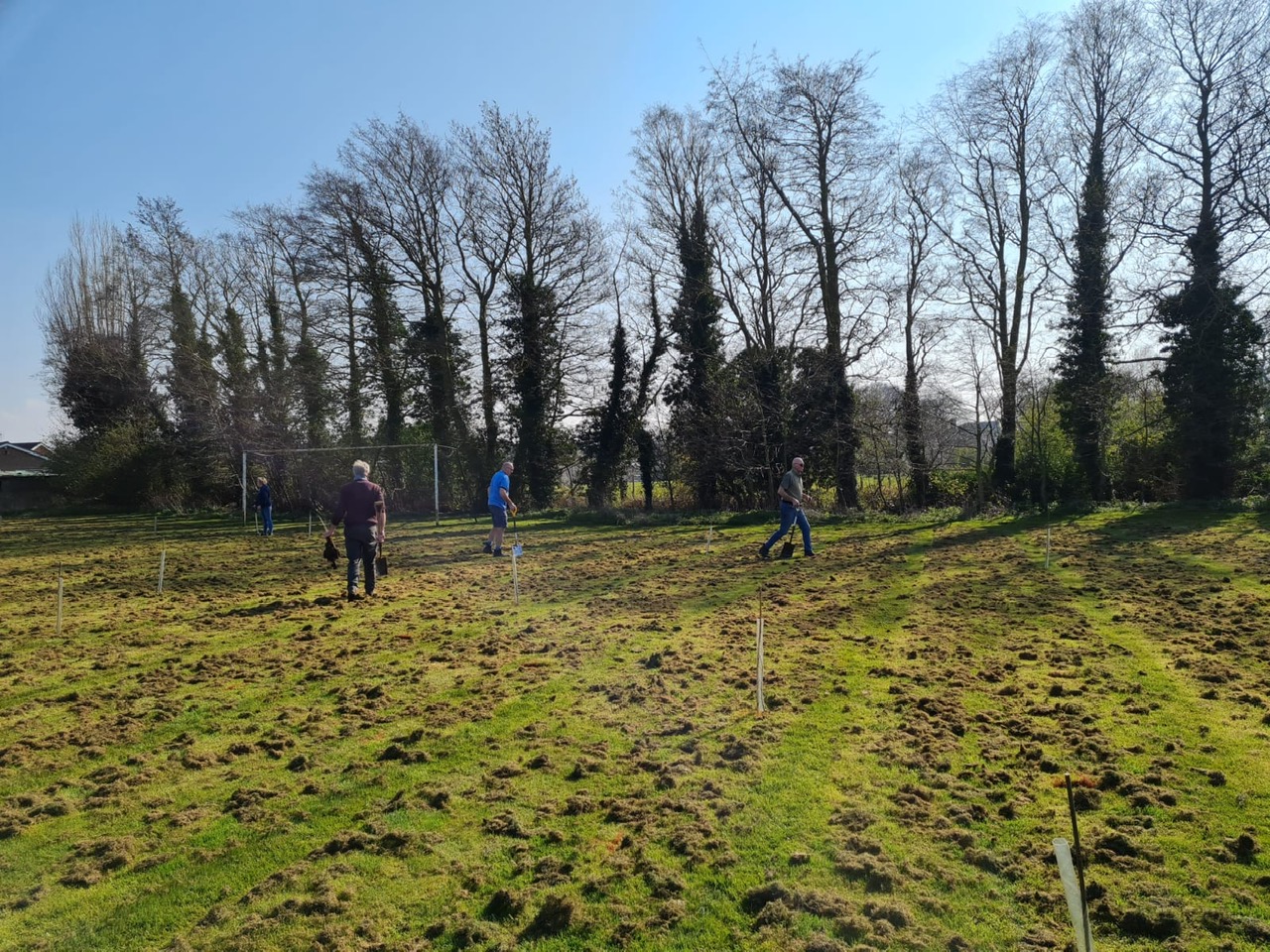 tree planting