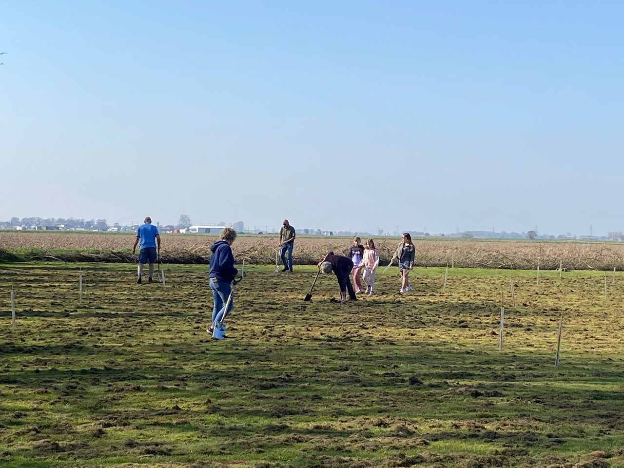 tree planting