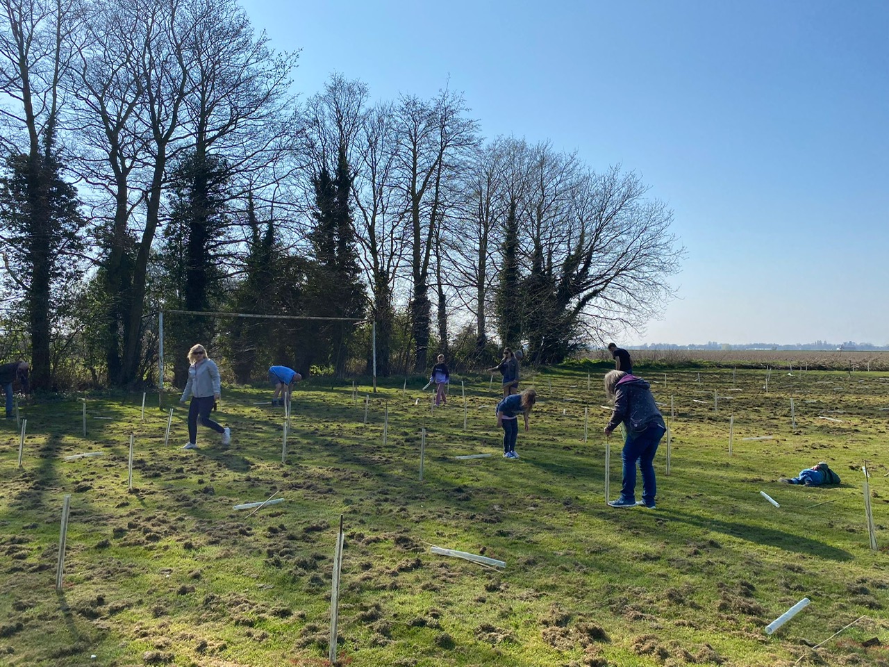 tree planting